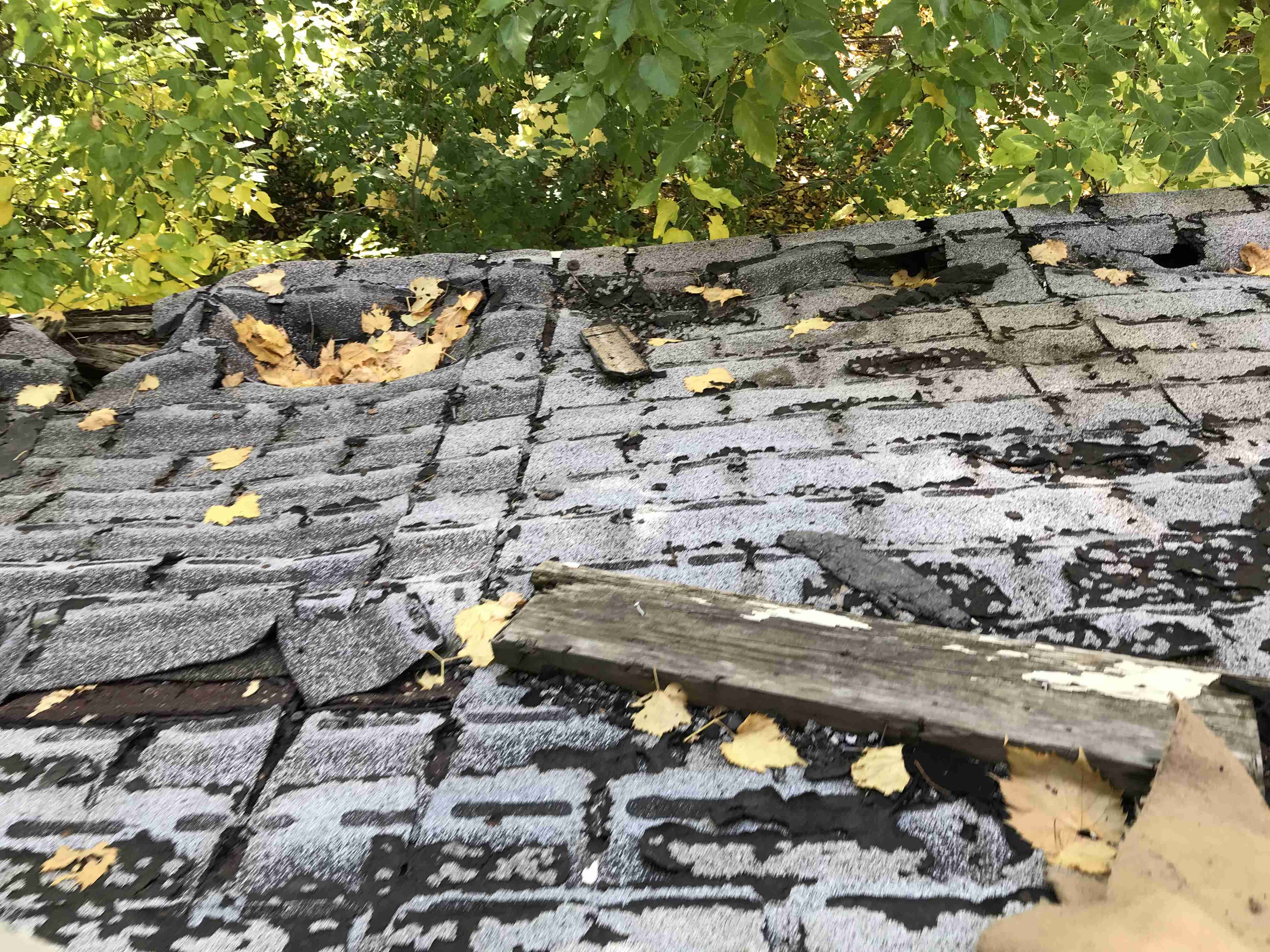 Photo Oct 13, 3 49 03 PM.jpg